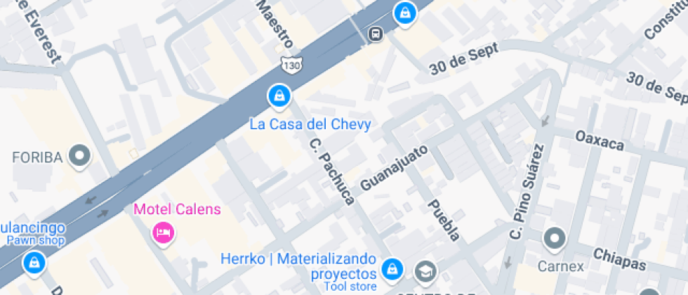 Bilingüe Howard Gardner