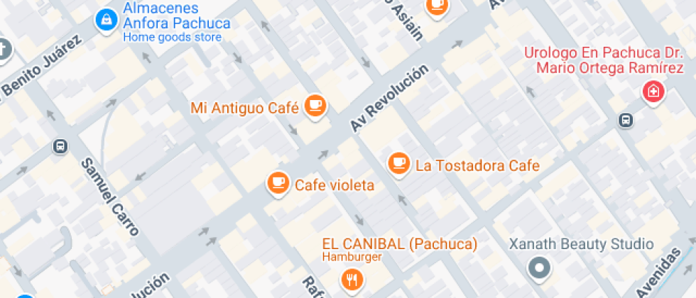 Desarrollo Intelectual