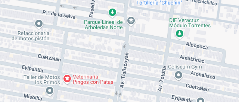 Preparatoria Desarrollo E Inovacion Cognitiva Leonardo Da Vinci