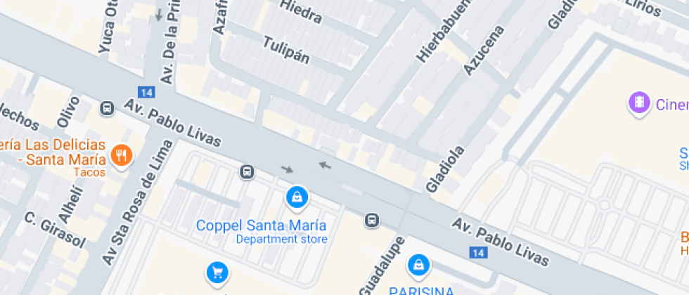 Desarrollo Gerencial Administrativo