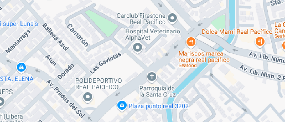 Desarrollo Optimo Y Educativo