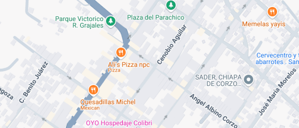 Estudios Angel Albino Corzo