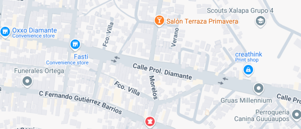 Estudios superiores  Rafael Guizar Valencia