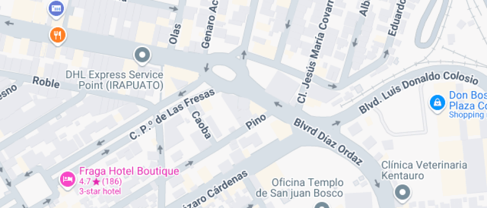 Gastronomía Isima Plantel Irapuato