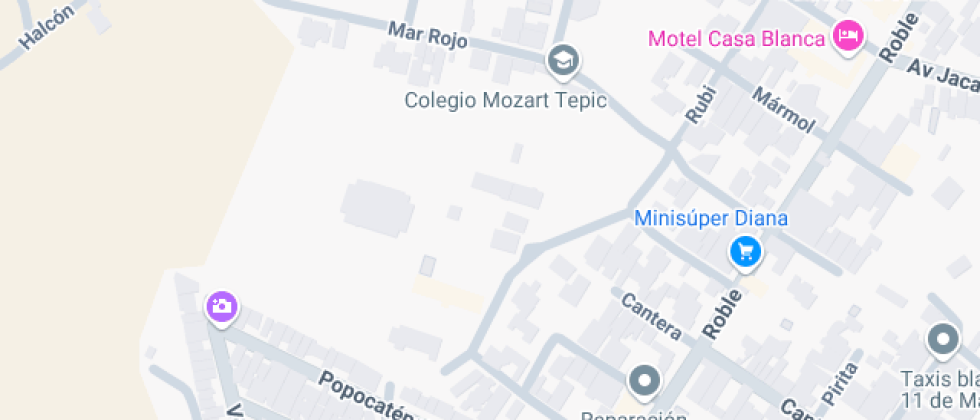 Iniciacion Artistica De Nayarit