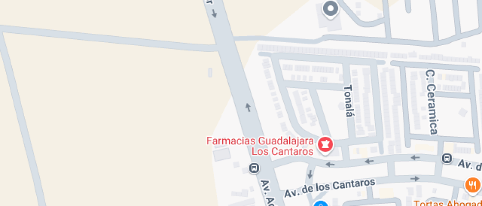 Vanguardia Educativa