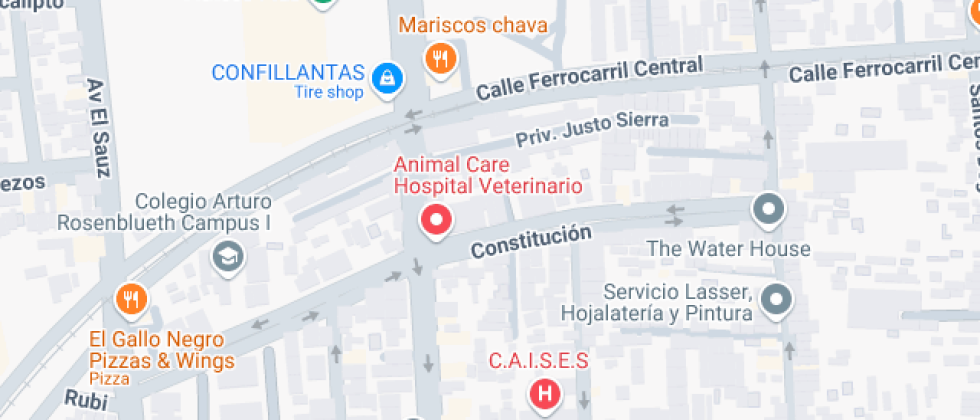 Rosa Gonzalez De Carmona