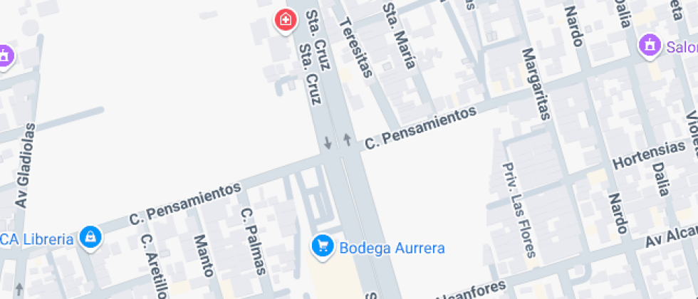 Metropolitano De Monterrey