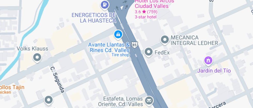 Gastronomia De Ciudad Valles