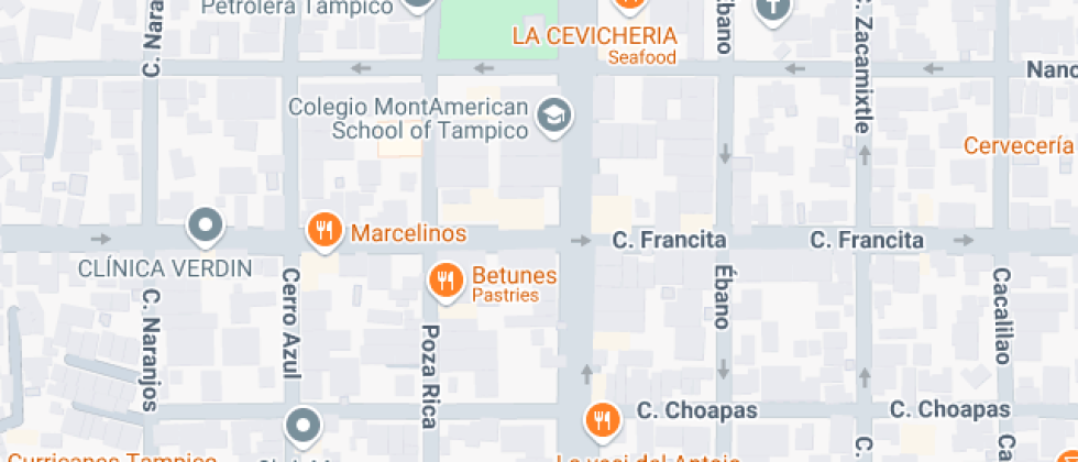 Gastronomia De Tampico