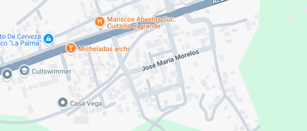 Michoacano Alfredo Zalce