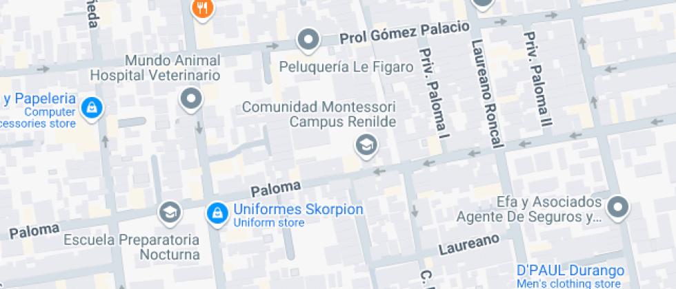 Miguel De Cervantes Saavedra De Durango