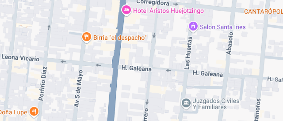 Profesor Norberto Lozano