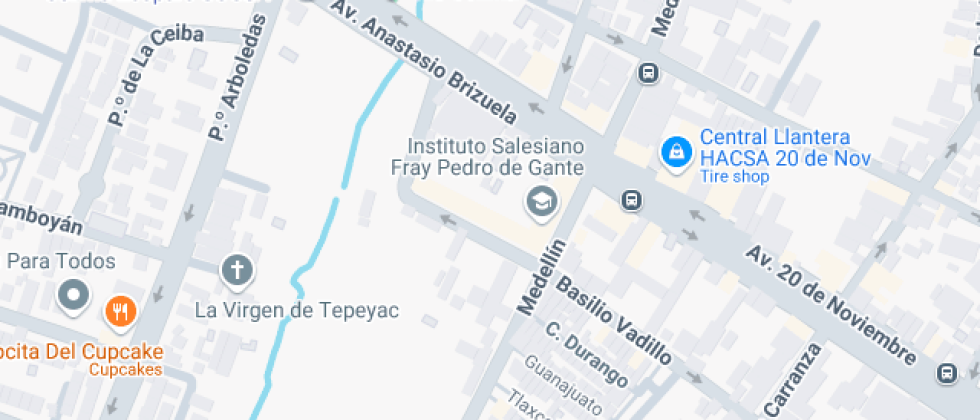 Salesiano Fray Pedro De Gante