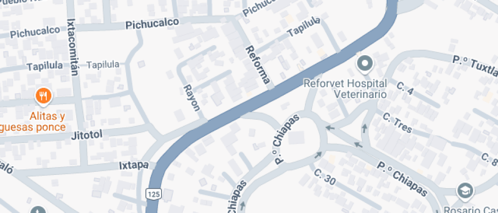 Universitario Panamericano 