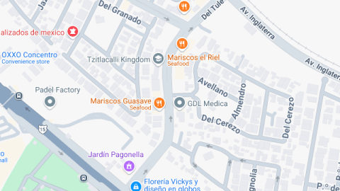 location map image