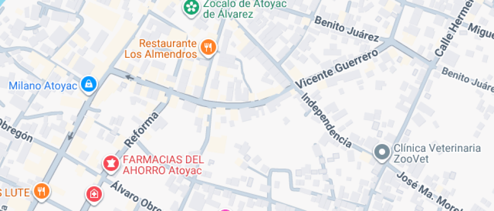 Escuela Primaria General Juan Alvarez