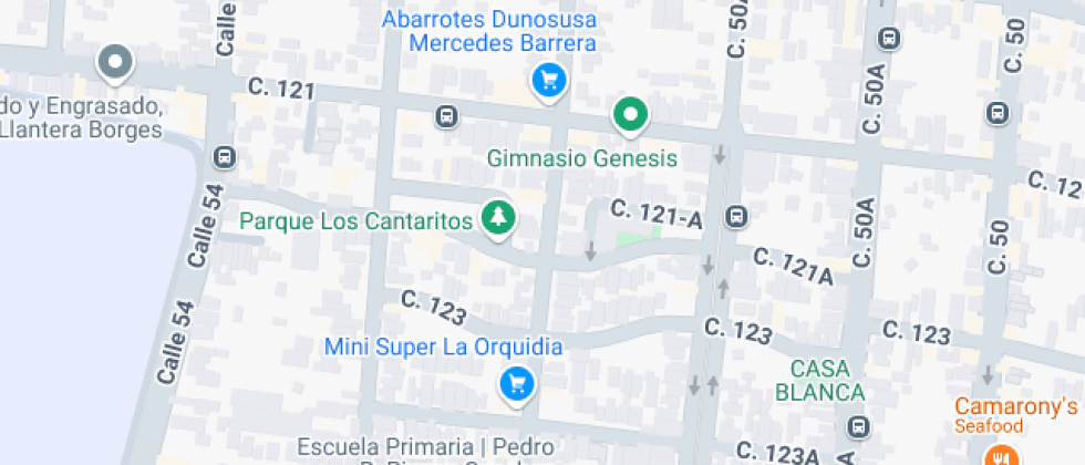 Jardin De Niсos Alina