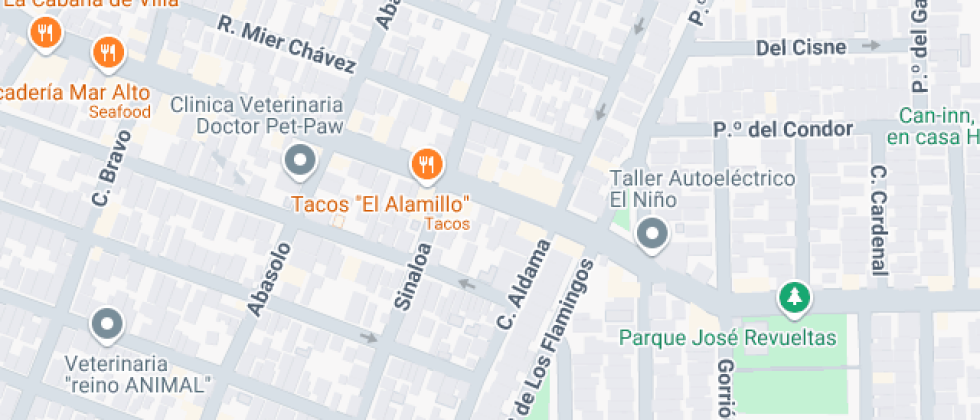 Preescolar Jardin De Niсos Indigo