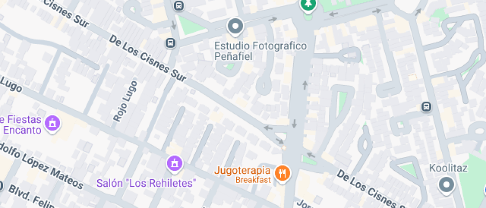 Desarrollo Integral Infantio La Semillita