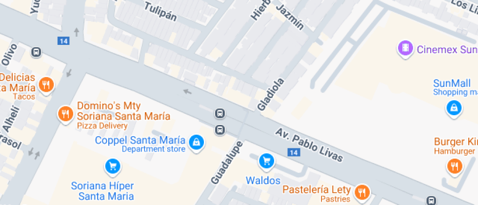 Liceo Regiomontano Columba Rivera