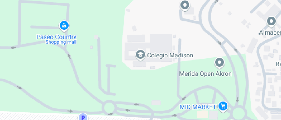 Madison International School