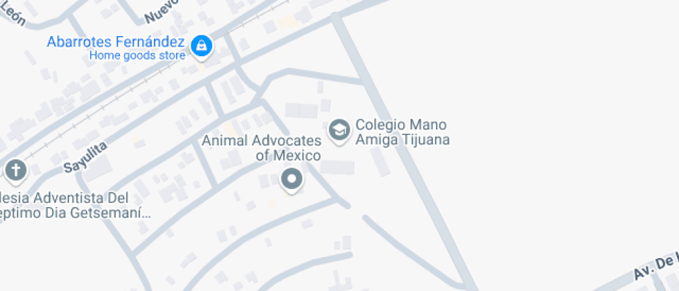 Mano Amiga 