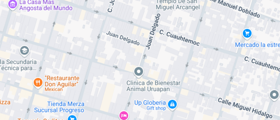 Maria Montessori Stoppani