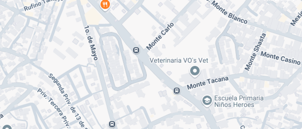 Mis Primeros Pasitos