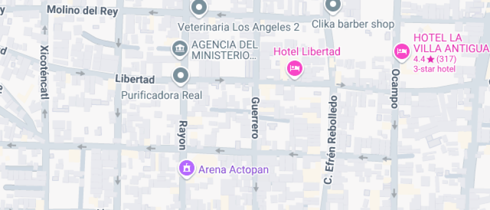 Mis Primeros Pasos 2