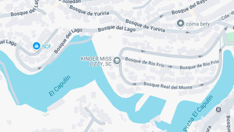 location map image