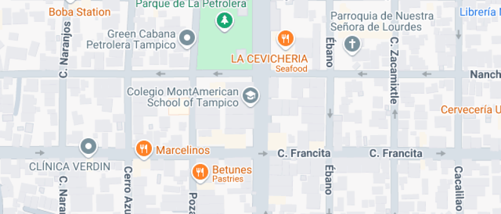 Mont American School Tampico