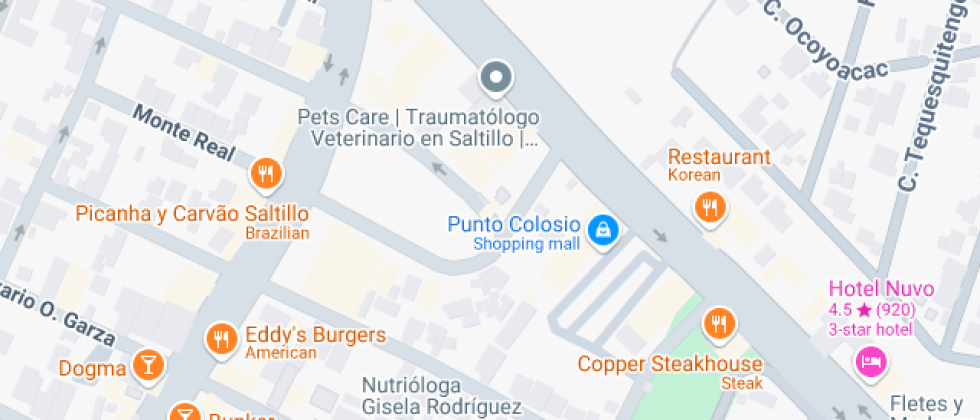 Gymboree Juego & Música Saltillo 