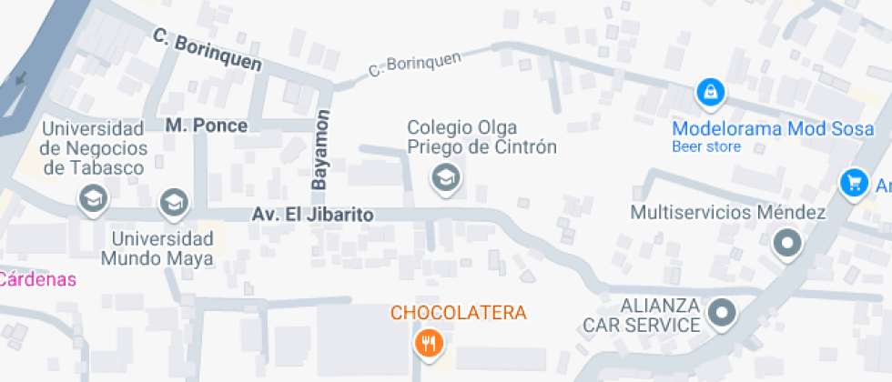 Olga Priego de Cintrón