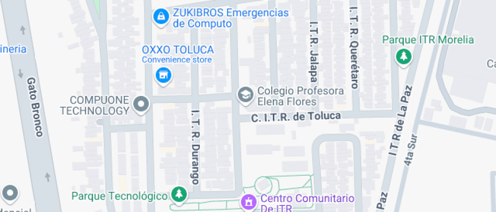 Profa. Elena Flores