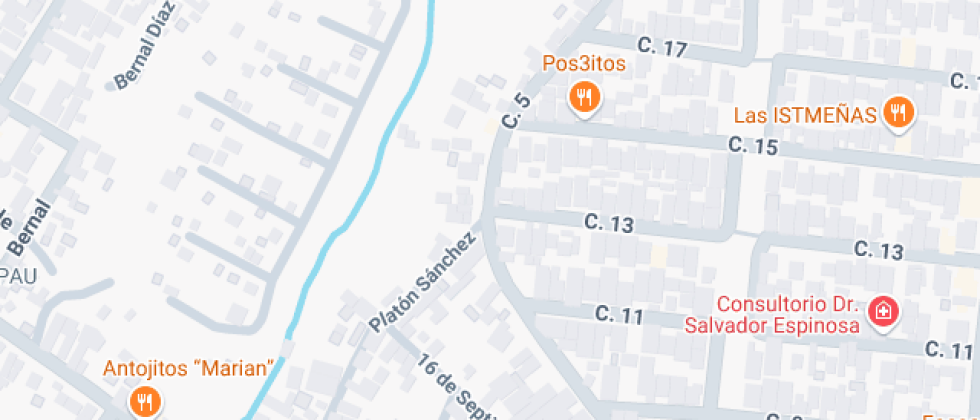 Profesor Francisco Errasquin Gómez