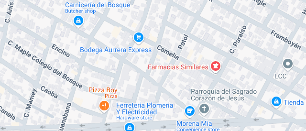 Profesora Eva Samano De Lopez Mateos, Institucion