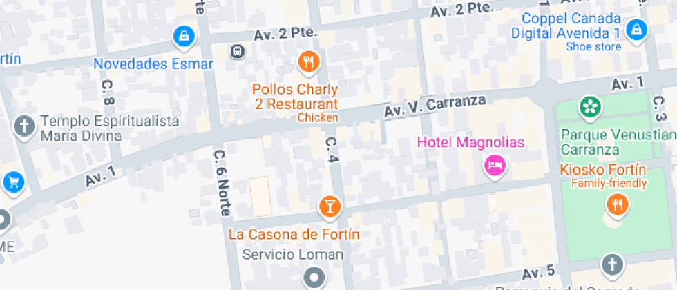 Profra. Rosa Guerrero Ramirez