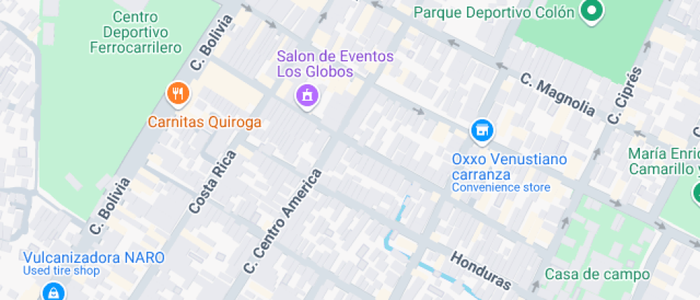 Psic. Silvia Mota Dominguez