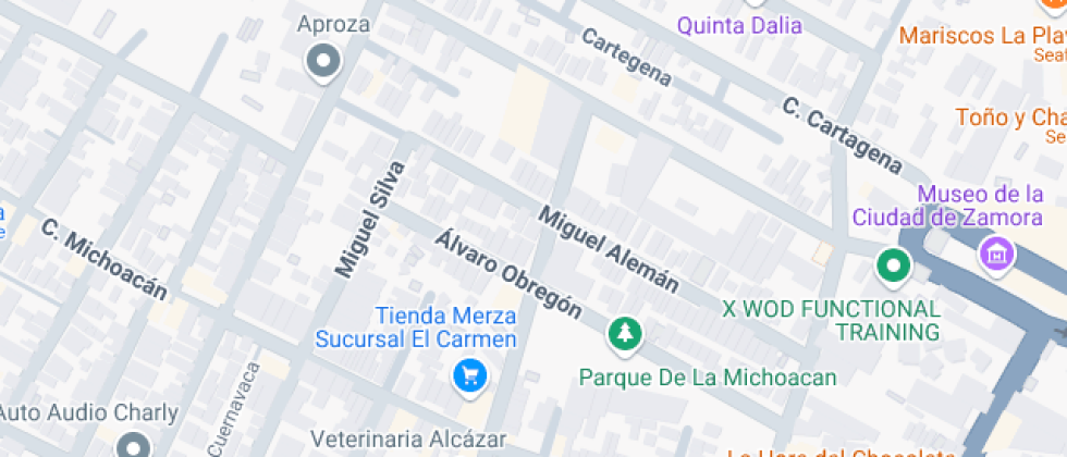 Rebeca Guillen Patino