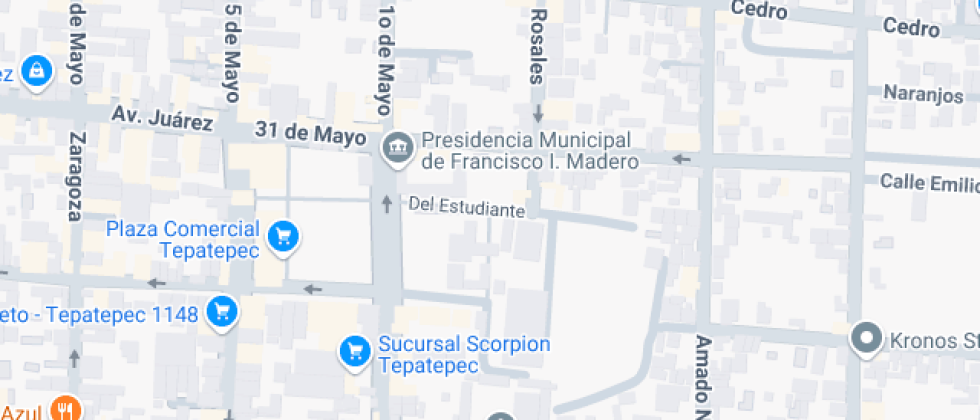 Ricardo Flores Magon