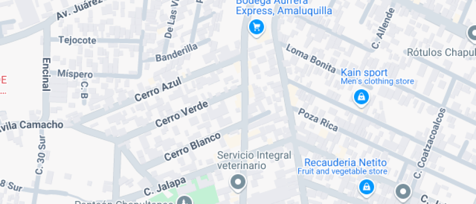Rollie Y Sus Amigos