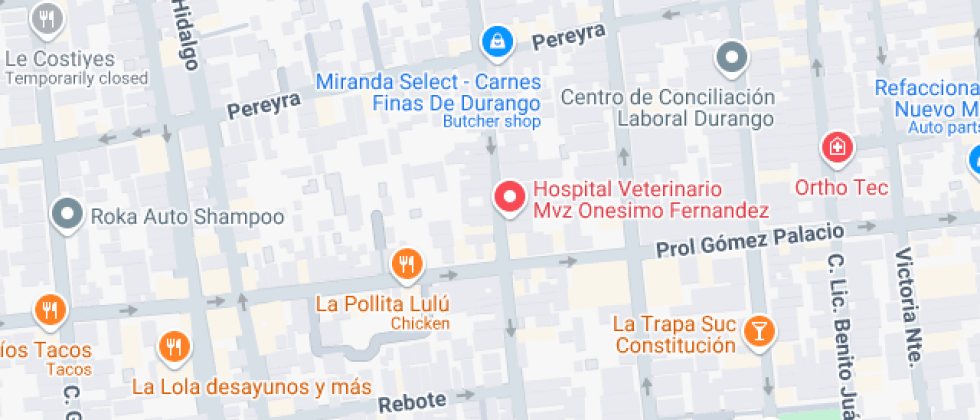 Comercial Técnica y Preparatoria Nellie Mc. Caughan 