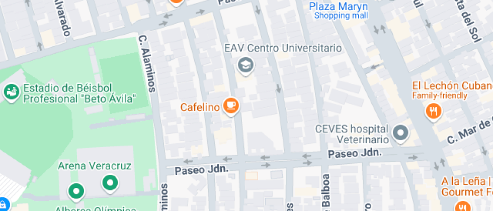 Societa Dante Alighieri Veracruz