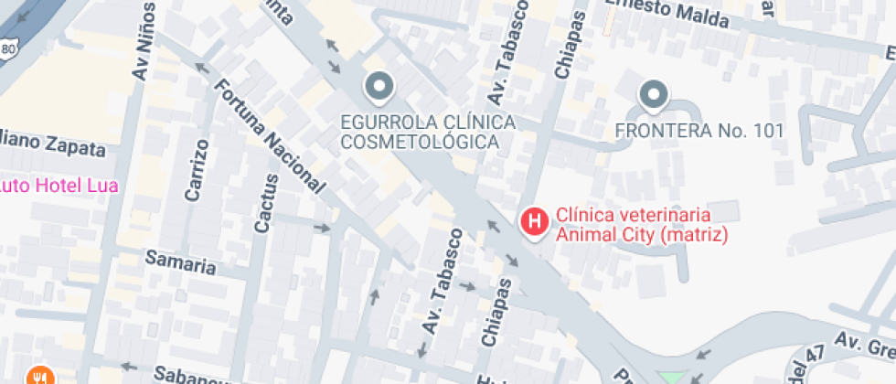 Autonoma De Guadalajara 