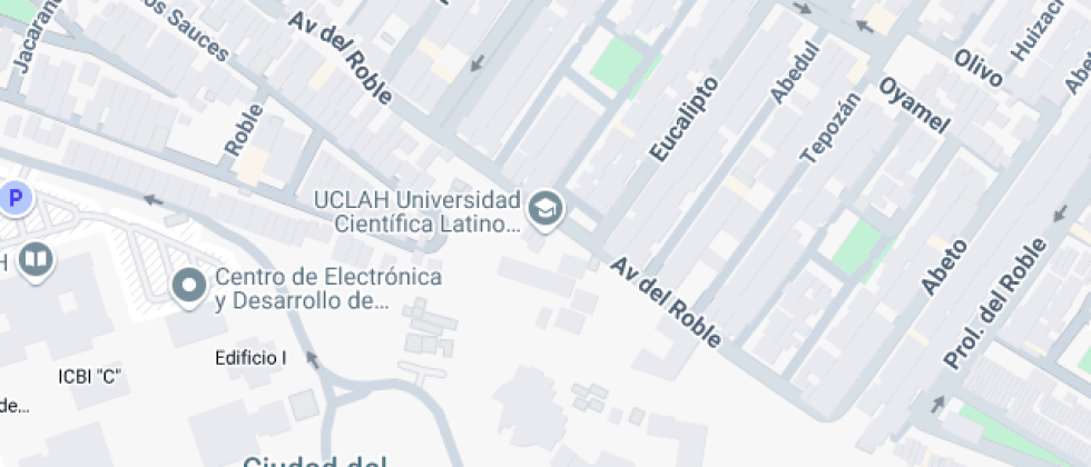 Cientifica Latinoamericana De Hidalgo