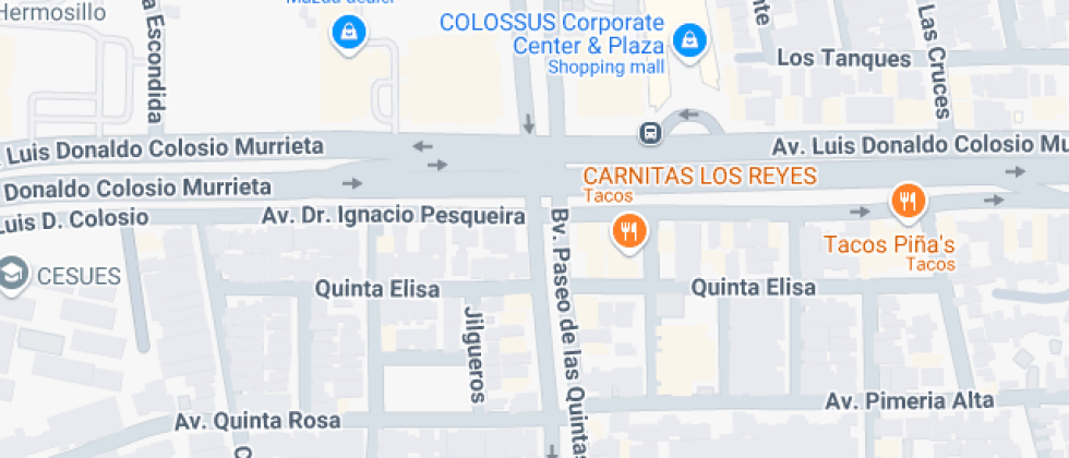 del Desarrollo Profesional