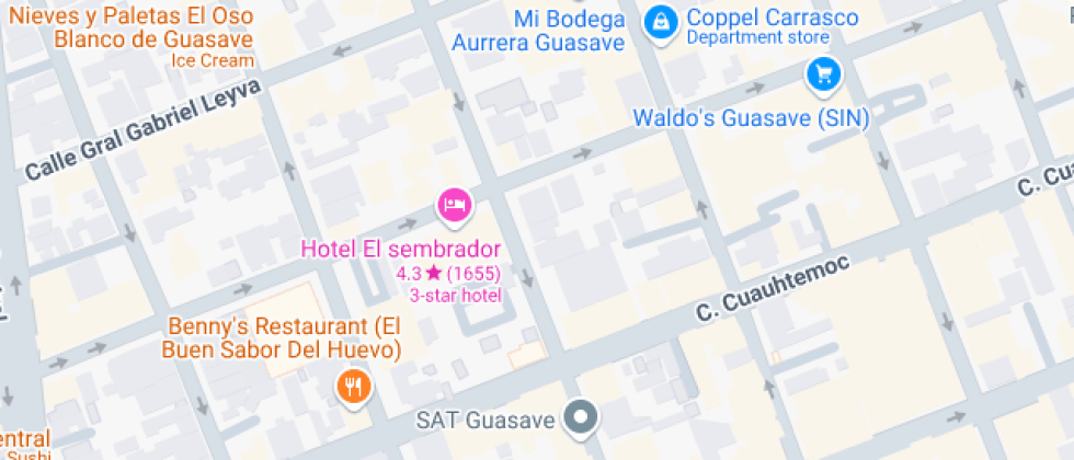 Desarrollo Profesional Unidad Guasave