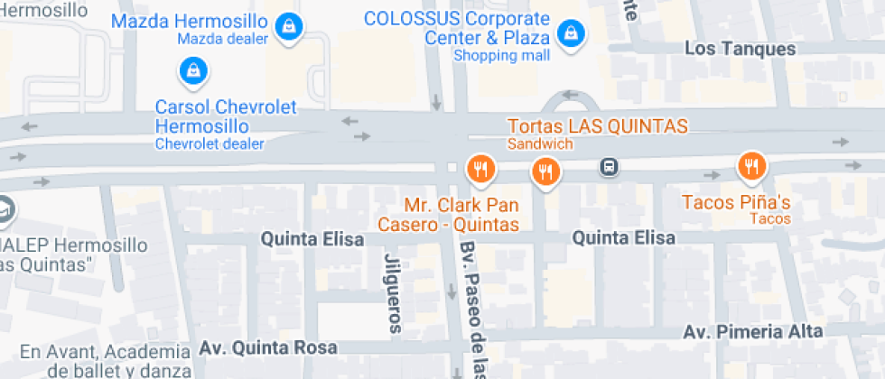 del Desarrollo Profesional