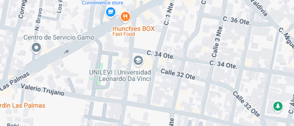 Leonardo Da Vinci